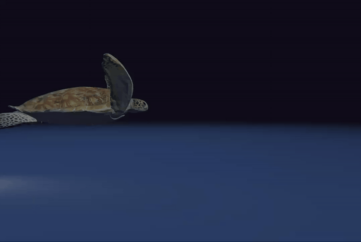 Simulated turtle swimming via a variational integrator on SE(3)